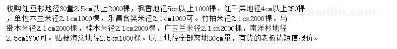 求購紅豆杉、楓香、紅千層等