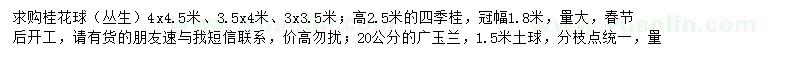 求購高2.5米桂花球、20公分廣玉蘭