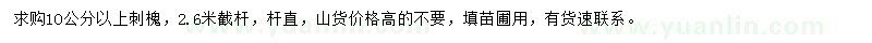 求購1O公分以上刺槐