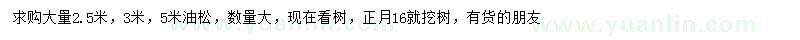求購2.5、3、5米油松
