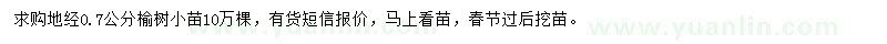 求購地徑0.7公分榆樹小苗
