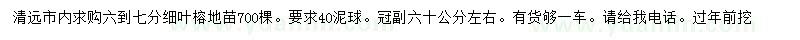 求購(gòu)6-7公分細(xì)葉榕地苗