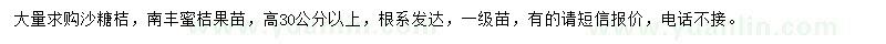 求購(gòu)高30公分以上沙糖桔