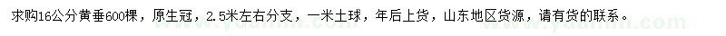 求購16公分黃垂