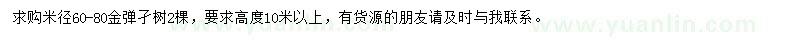 求購高10米以上金彈子樹