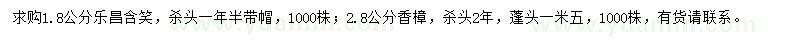 求購1.8公分樂昌含笑、2.8公分香樟