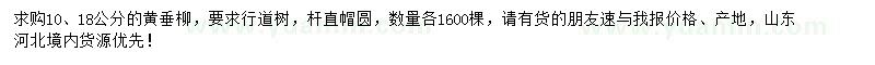 求購10、18公分黃垂柳