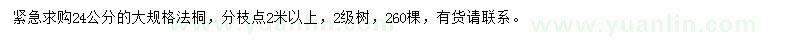求購24公分法桐