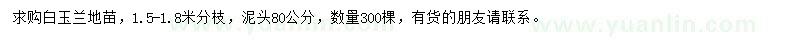求購白玉蘭地苗