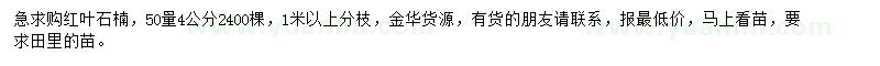求購50量4公分紅葉石楠
