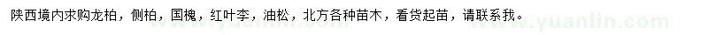 求購龍柏、側(cè)柏、國槐等