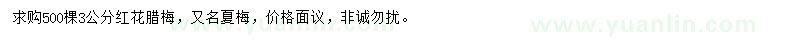 求購3公分紅花臘梅