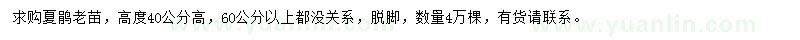 求購(gòu)高40、60公分以上夏鵑
