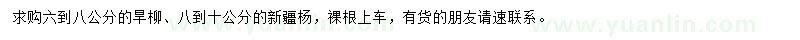 求購(gòu)6-8公分旱柳、8-10公分新疆楊