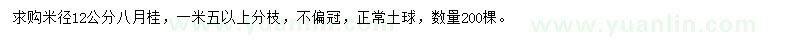 求購米徑12公分八月桂