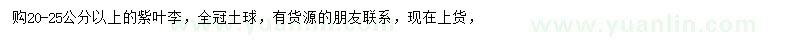 求購20-25公分以上紫葉李