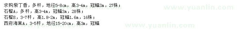 求購紫丁香、石榴、西府海棠