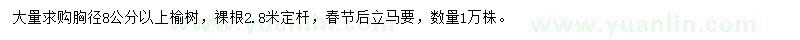 求購(gòu)胸徑8公分以上榆樹(shù)
