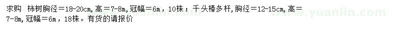求購(gòu)胸徑18-20公分柿樹(shù)、胸徑12-15千頭椿