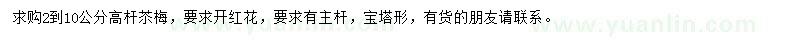 求購2-10公分苶梅