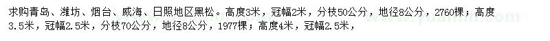 求購高3、3.5、4米黑松
