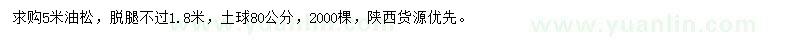 求購(gòu)5米油松
