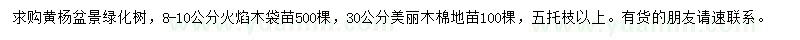 求購黃楊盆景、火焰木、美麗木棉