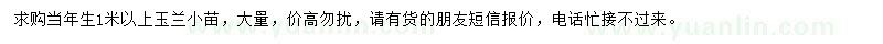 求購(gòu)1米以上玉蘭小苗
