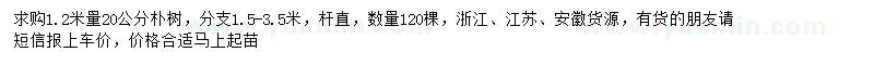 求購1.2米量20公分樸樹