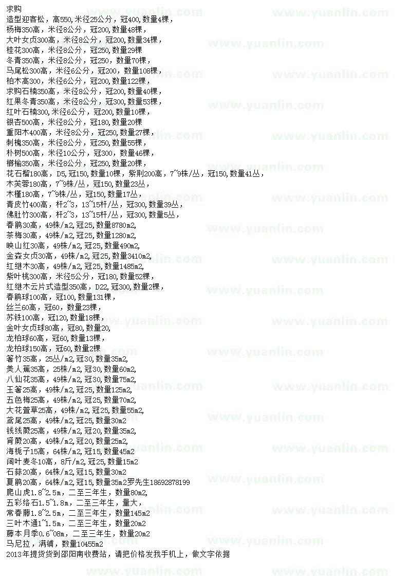 求購造型迎客松、楊梅、大葉女貞等