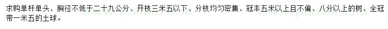 求購(gòu)胸徑29公分以上銀杏