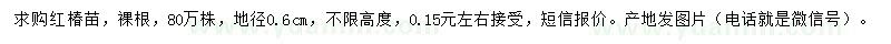 求購地徑0.6公分紅椿苗