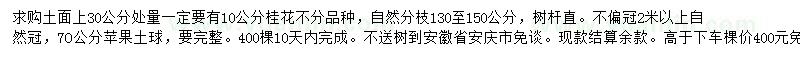 求購10公分廣西桂花