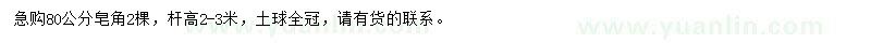 求購80公分皂角