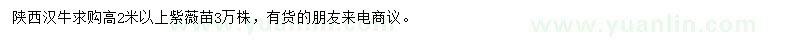 求購高2米以上紫薇苗
