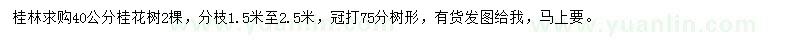 求購40公分桂花樹