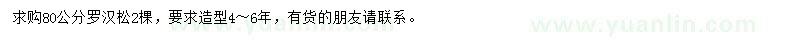 求購80公分羅漢松