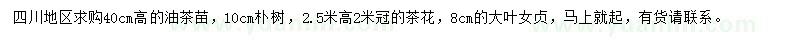 求購油茶苗、樸樹、茶花等