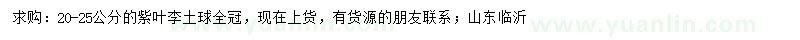 求購20-25公分紫葉李