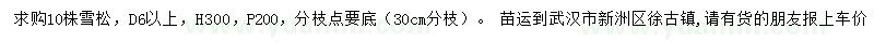 求購高300公分雪松