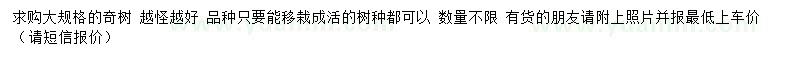 求購大規(guī)格奇樹
