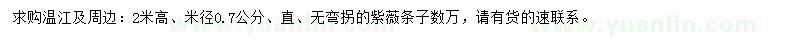 求購(gòu)2米高紫薇條子