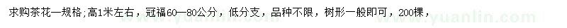 求購高1米茶花