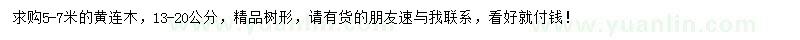 求購13-20公分黃連木