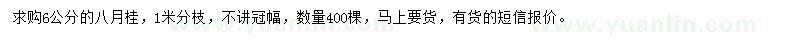求購6公分八月桂