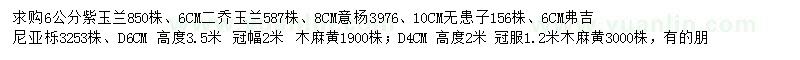 求購紫玉蘭、二喬玉蘭、意楊等