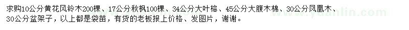 求購(gòu)黃花風(fēng)鈴木、秋楓、大葉榕等