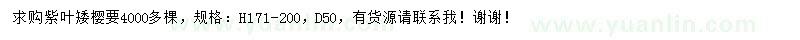 求購高171-200公分紫葉矮櫻