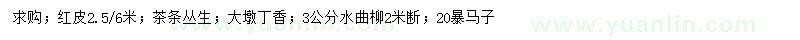 求購紅皮、茶條叢生、大墩丁香等