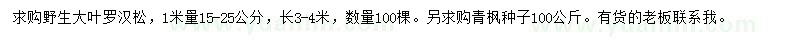 求購(gòu)野生大葉羅漢松、青楓種子